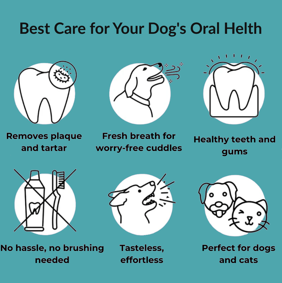 FreshPaws™ Oral Health Spray