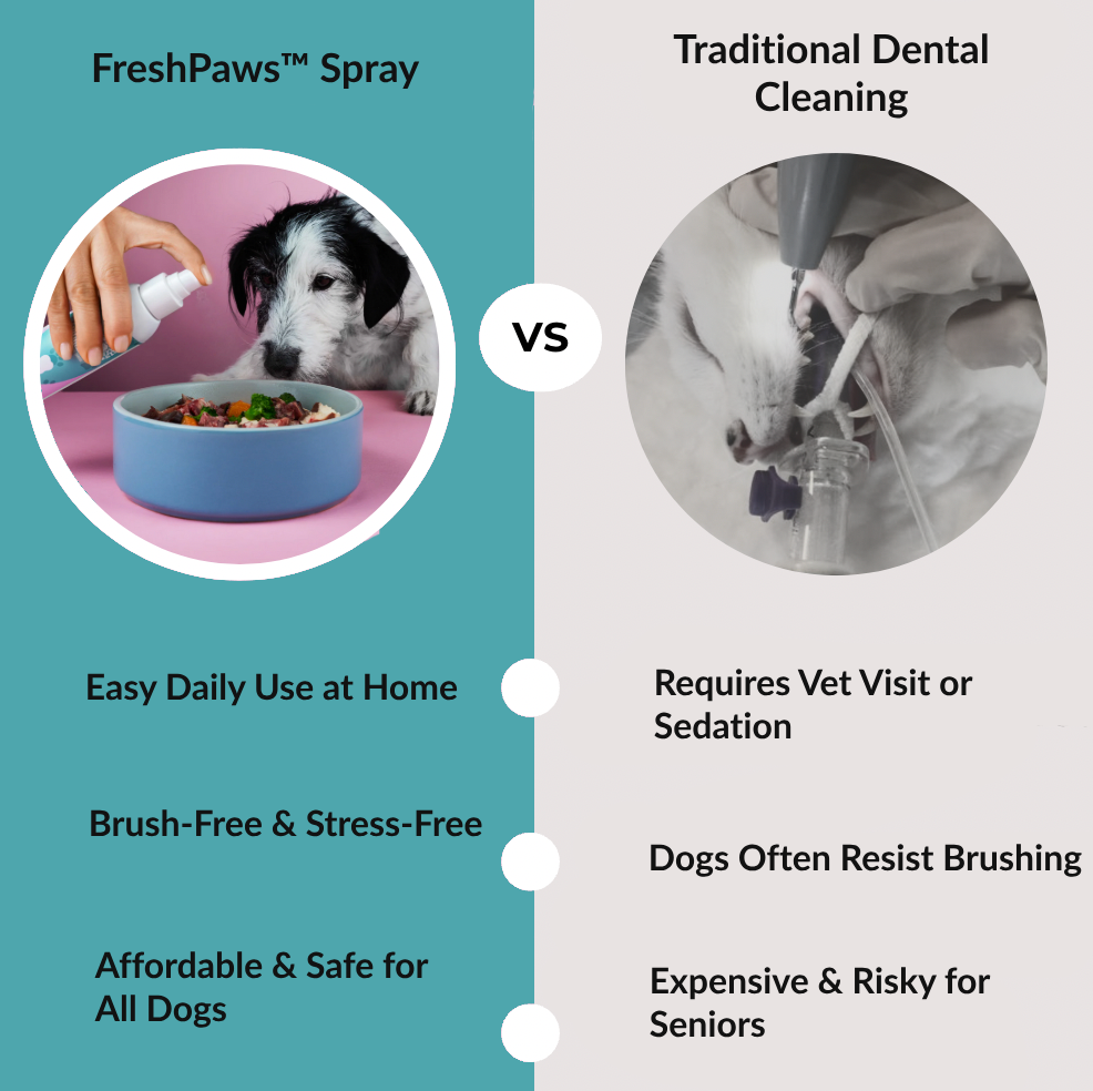 FreshPaws™ Oral Health Spray