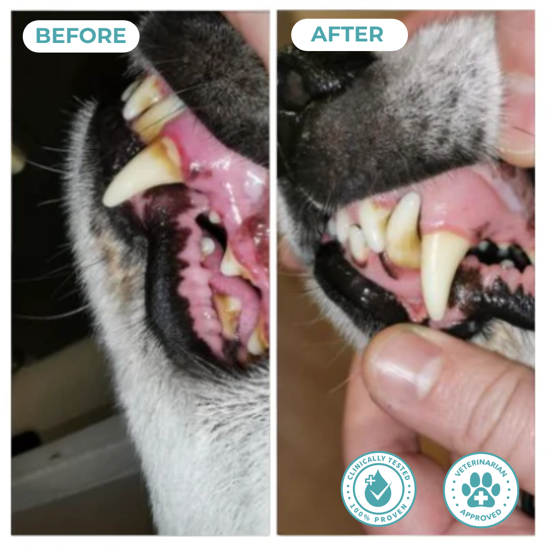FreshPaws™ Oral Health Spray