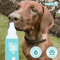 FreshPaws™ Oral Health Spray